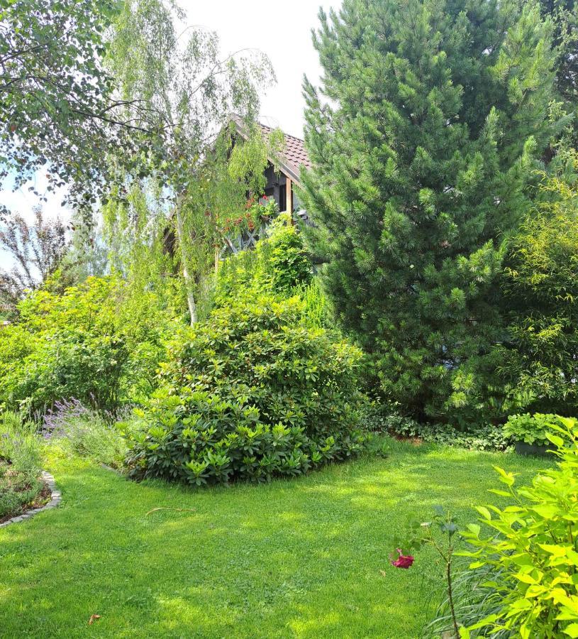Apartament Drozdzikowka Żywiec 외부 사진