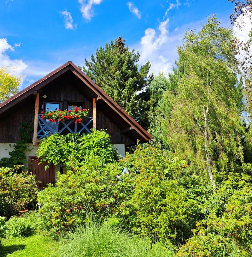 Apartament Drozdzikowka Żywiec 외부 사진
